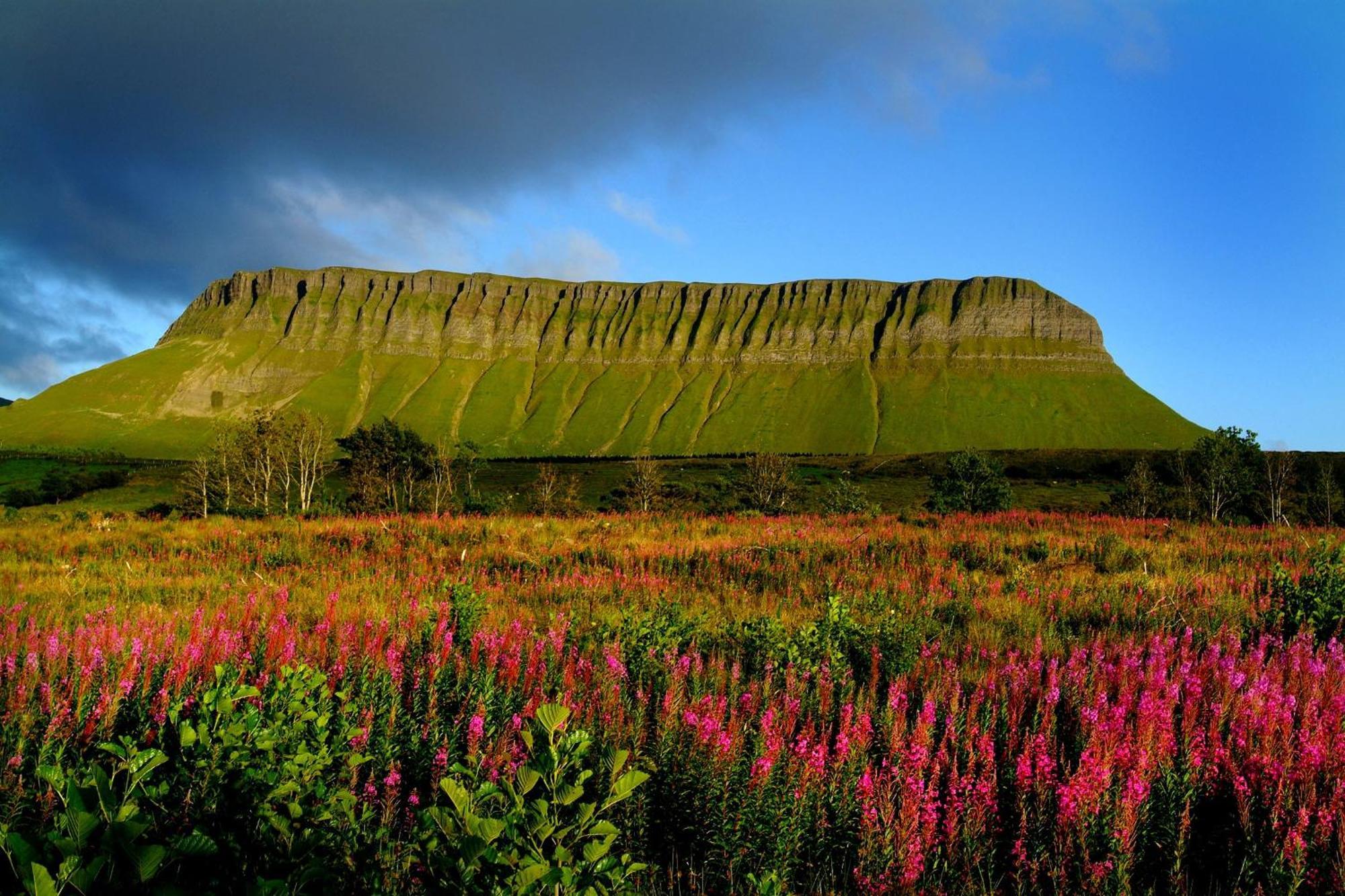 Central Sligo Townhouse Villa Esterno foto